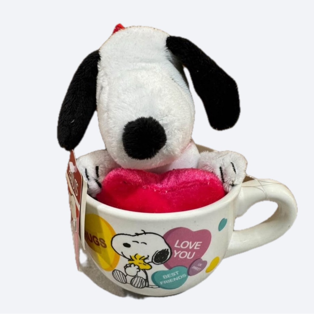 2/$45 NEW Snoopy Mug and Snoopy keychain set